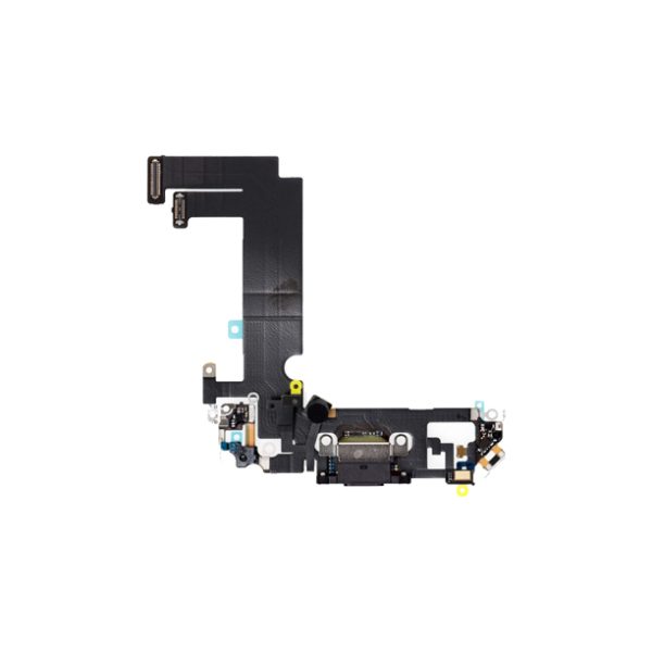 iPhone 12 Mini Ladeport